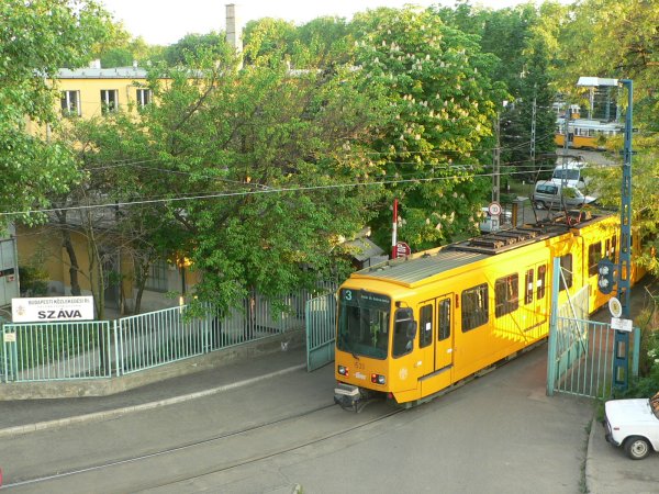 fenykep