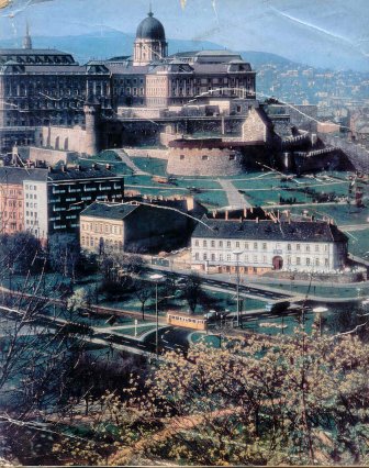 Szarvas t�r