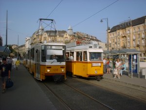 M�ricz Zsigmond k�rt�r