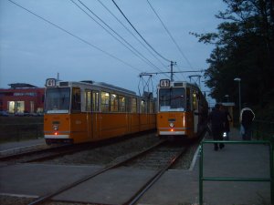 1349 v41, 1363 v41B K��rberek