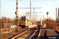 1313 Salg�tarj�ni u. - Pongr�c �t - fot�: NZG