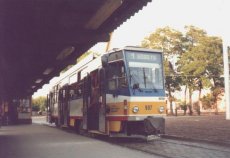 907rokus.jpg