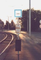 plazava.jpg