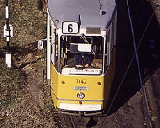 1442 v6