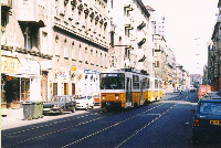 4139  N�psz�nh�z u.