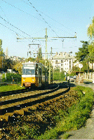 4165  N�metv�lgyi �t