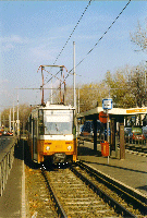 4242  Hung�ria krt.