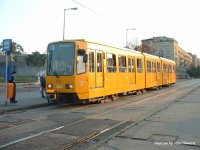 1502 �lessarok -  fot�: John Howard