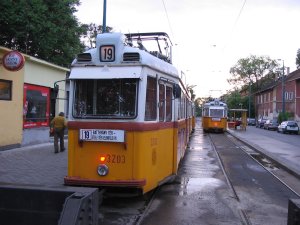 3203v19