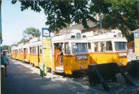 3239  Etele t�r