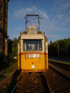3296v19-szarvas-ter