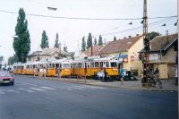 3315, 3383  B�ke t�r