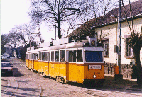 3404  Tulip�n u.