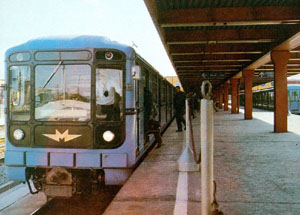 A 81-es t�pus