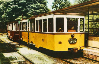 80 (Állatkert) 80 (Állatkert)