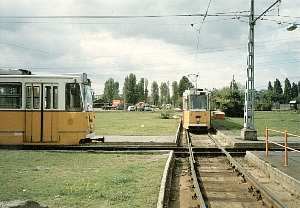 1335 (13)
