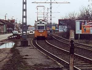3342 (13)