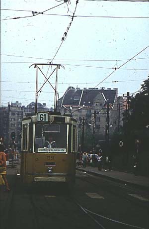 61 - 1351