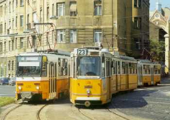 1316 (23), 4092 (1)