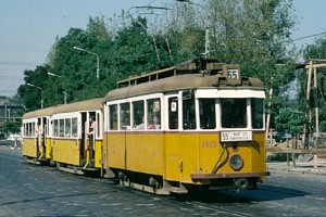 2628 (�rp�d �t)