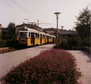 62 - 3879