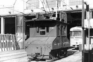 7302