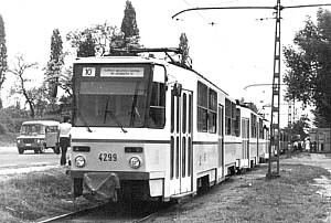 4299 (10)