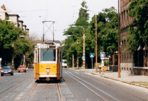 1304_delej.jpg
