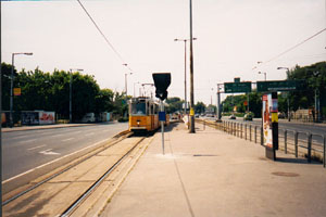 1309_nepliget.jpg