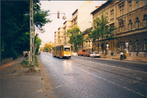 3750_000528_vajda.jpg