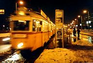 korutUV24.jpg