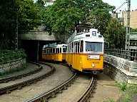 DSCF0496.JPG