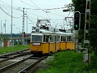 DSCF0566.JPG