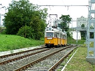 DSCF0578.JPG