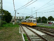 DSCF0580.JPG