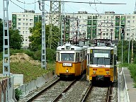 DSCF0587.JPG