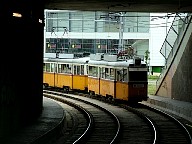 DSCF0589.JPG