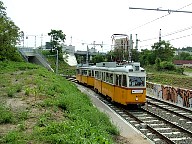 DSCF0597.JPG