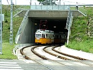 DSCF0606.JPG