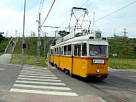 DSCF0608.JPG