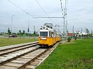 DSCF0609.JPG