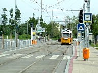 DSCF0610.JPG