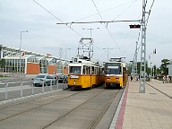 DSCF0612.JPG