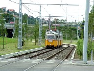DSCF0619.JPG