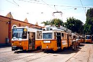 3257_4030_Szepilona.jpg