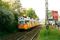 v13_6uv.jpg