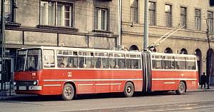 100 (Ajt�si D�rer sor)