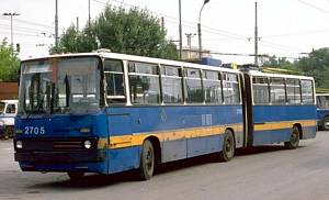 Sofia 2705