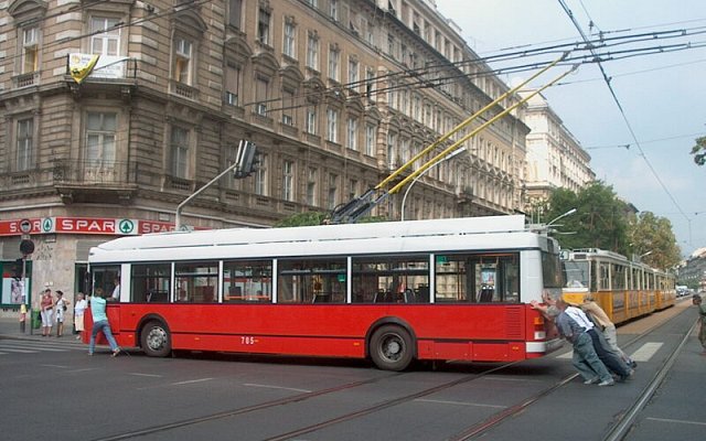 Kép